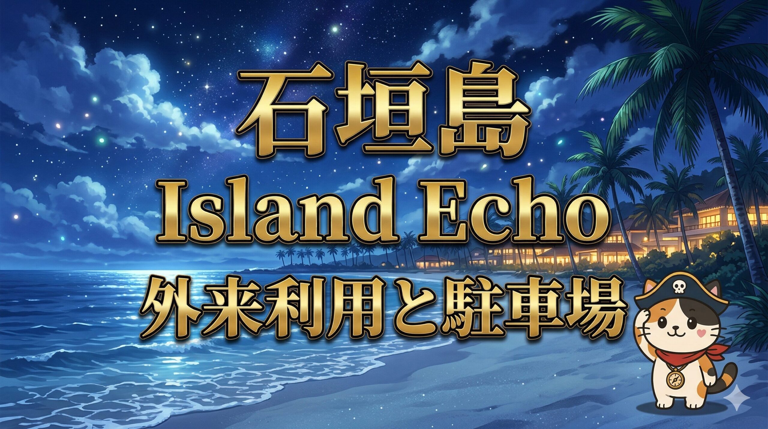 月夜の石垣島ビーチで外来利用と駐車場を案内するココロ船長